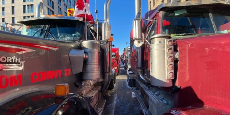 Legal group takes action on behalf of Freedom Convoy leaders to halt $290 million lawsuit
