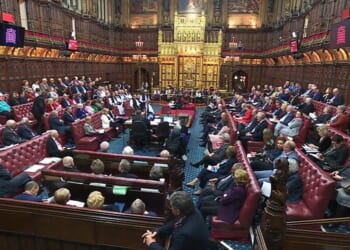 Lords resist Mullally’s argument against amendment that would decriminalise abortion