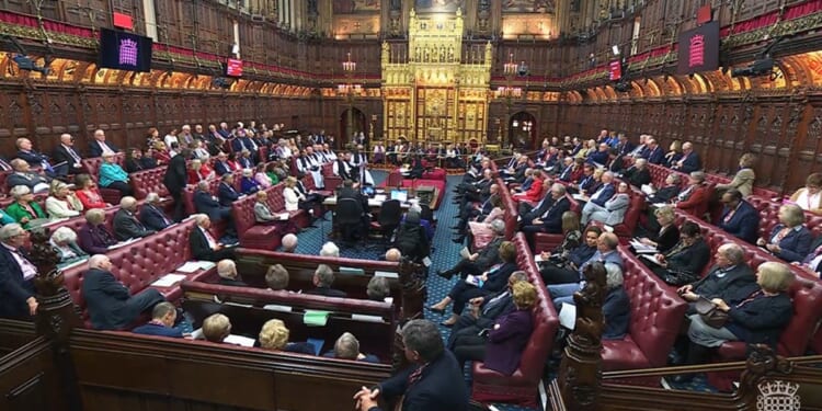 Lords resist Mullally’s argument against amendment that would decriminalise abortion