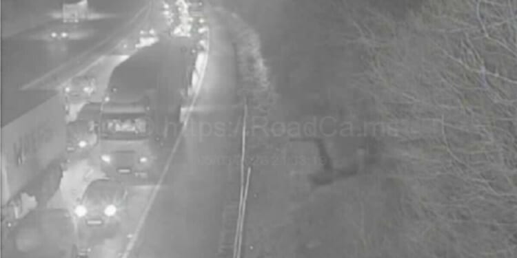 M11 traffic LIVE: Horror crash involving lorry, van and 3 cars | UK | News