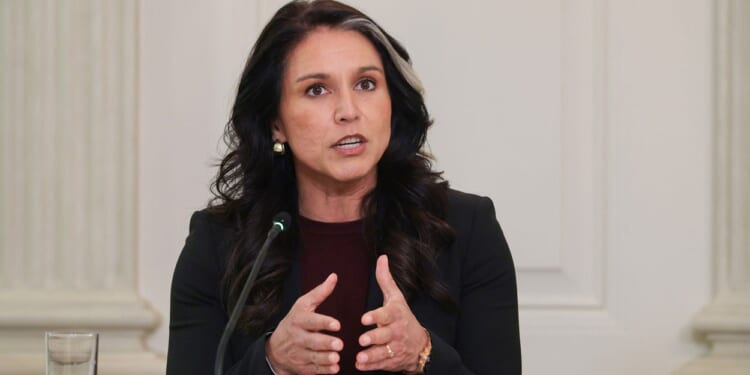 Media Ignored Gabbard's Islamization Warning