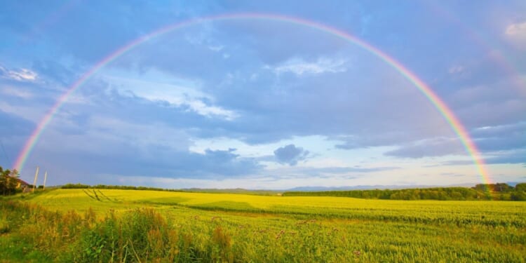 Miscalculating God's blessing can be a recipe for disaster