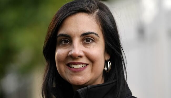 New York's Nicole Malliotakis Gets Good News From SCOTUS on Her District Ahead of Midterms – RedState