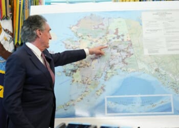 Nova Minerals Boosts Estelle Project With New High-Grade Gold Target – RedState