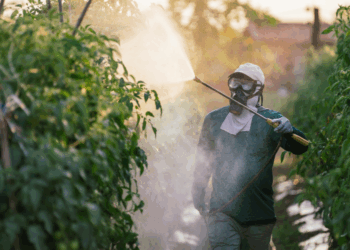 Pesticides and the Fight for America’s Health