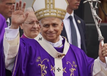 Pope Leo meets with professors who found Latin Mass Catholics are more orthodox, not ‘schismatic’