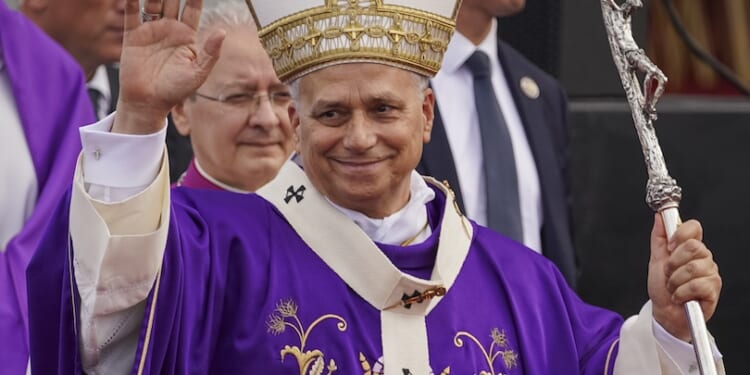 Pope Leo meets with professors who found Latin Mass Catholics are more orthodox, not ‘schismatic’