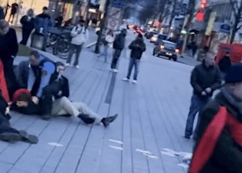 Pro-lifer suffers ‘traumatic brain injury’ after brutal attack by leftists in Germany