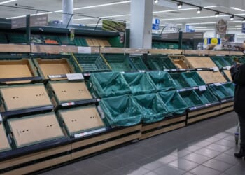 Rationing, empty shelves, medicine shortages coming to UK, expert | UK | News