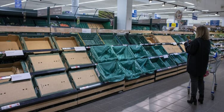 Rationing, empty shelves, medicine shortages coming to UK, expert | UK | News