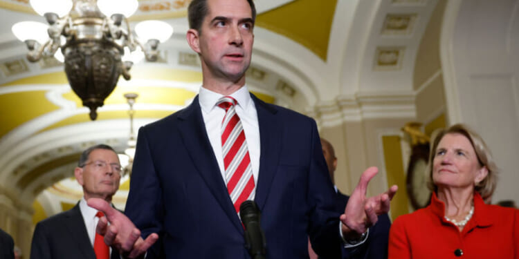 Republican senators demand DOJ probe into Chinese surrogacy centers in the US