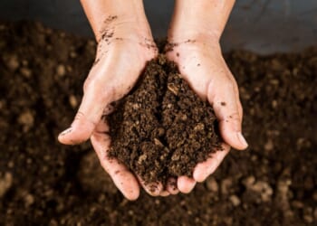 Republicans help Oklahoma House pass 'human composting' bill