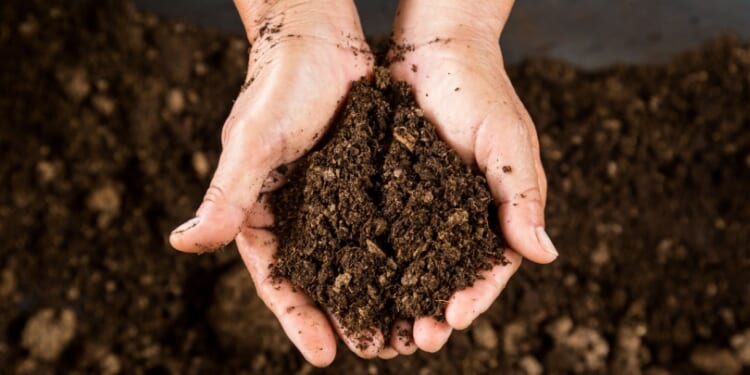 Republicans help Oklahoma House pass 'human composting' bill