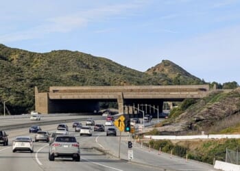 Ridiculous CA Wildlife Bridge Aims to Prevent Inbred Mountain Lions, but Will Be a Wildfire Express Lane – RedState