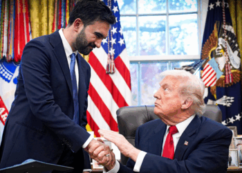 Sunnyside Yards and the errors of pro-growth progressivism