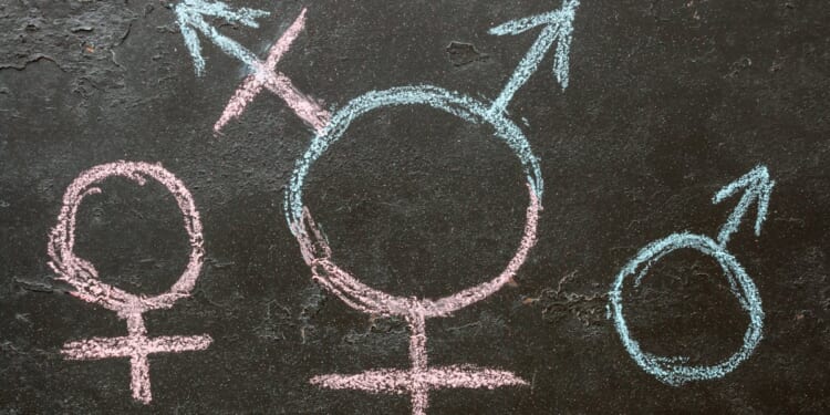 The EU’s Censorship Regime Has A New Gender Strategy And It Threatens Free Speech Everywhere