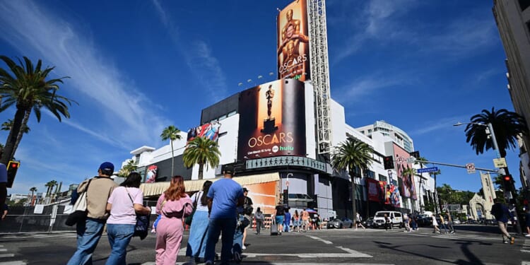 The Oscars Audience Today Reveals Something About America’s Divide