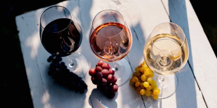 The Wine-Pairing Myth Beginners Need To Forget