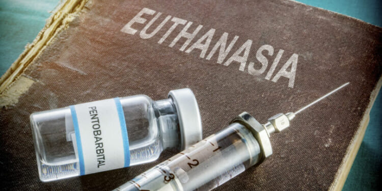 The world is waking up to the horror of euthanasia