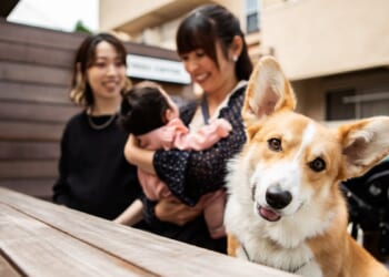 The ‘Fur Baby’ Life Comes With A Truth Most People Don’t Want To Admit