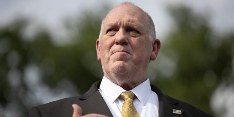 Tom Homan Lays Out What Americans Can Expect As ICE Moves Into Airports Monday
