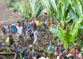 Tragedy after at least 80 killed by horror landslides | World | News