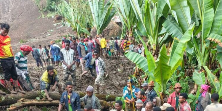 Tragedy after at least 80 killed by horror landslides | World | News