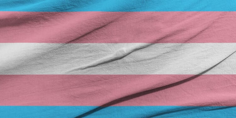 Trans-Identifying Youth Volunteer Charged With Horrific Sexual Crime