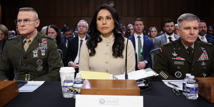 Tulsi Gabbard Addresses Fulton County FBI Probe