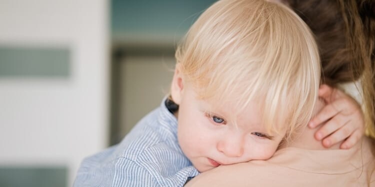 UK adoption agencies celebrate 'LGBTQ+ Week' urging more homosexuals to adopt children