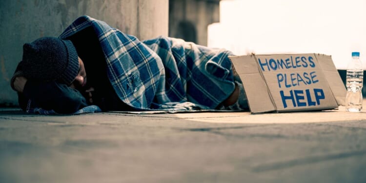 UK homelessness charity collapses into administration after 51 years | UK | News