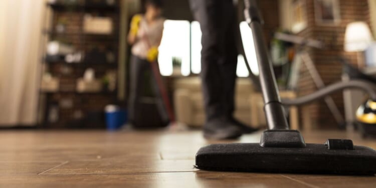UK households with vacuum cleaners face £4.80 charges from April 1 | UK | News