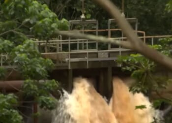 Wahiawa Dam collapse fears erupt as over 4000 people told 'leave now' | World | News