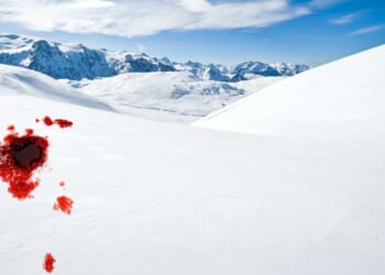 What happens if you break the law in Antarctica?