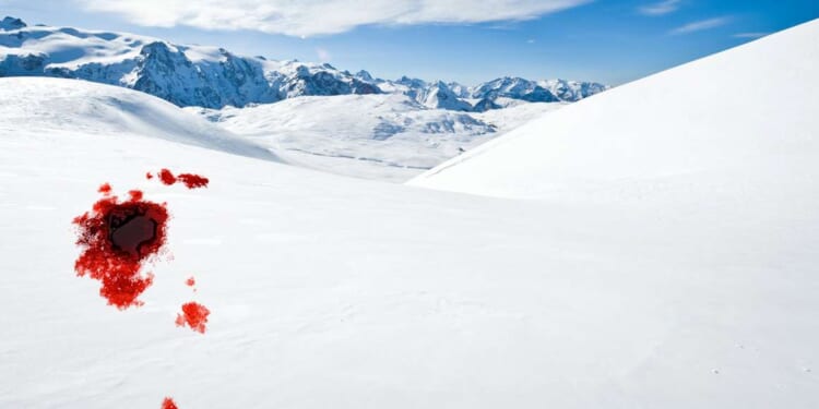 What happens if you break the law in Antarctica?