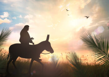 Why did Jesus ride on a donkey?