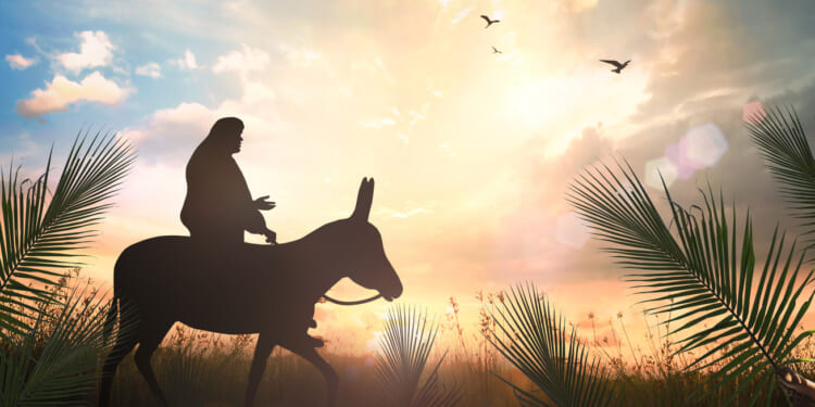 Why did Jesus ride on a donkey?