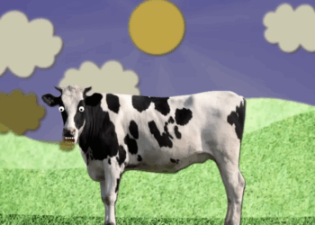 Your steak isn't killing the planet