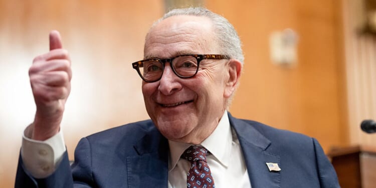 You’re In An Endless TSA Line Because Of Democrats