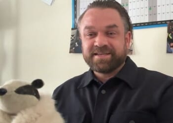 Pub landlord overjoyed after beloved stolen badger toy is returned: 'Perfect ending!'