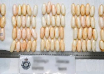 British tourist arrested after ‘smuggling 1kg of heroin inside own body’ into Australia
