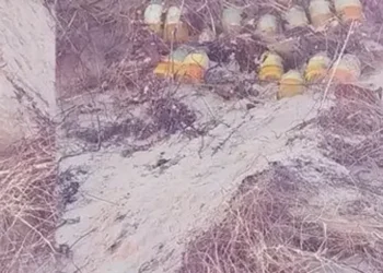 Britons told to avoid popular tourist beach after 150 WW2 grenades found