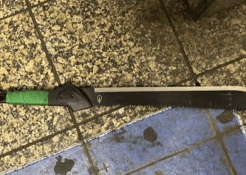 New York subway machete attacker shot dead by police