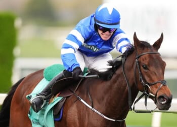Grand National Festival winner disqualified after jockey whipped horse 11 times