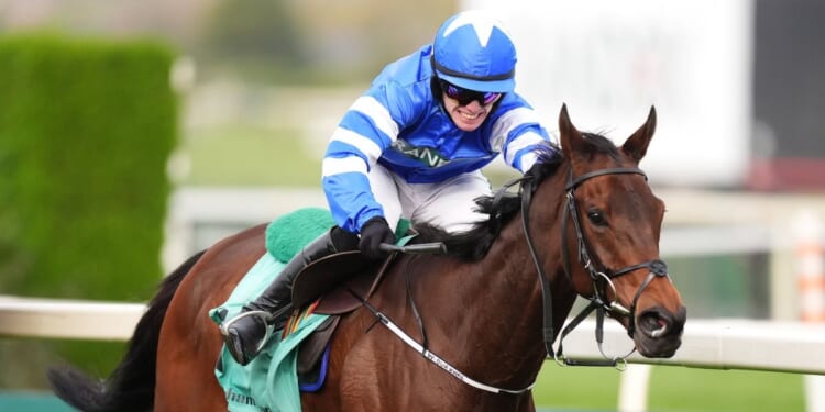 Grand National Festival winner disqualified after jockey whipped horse 11 times