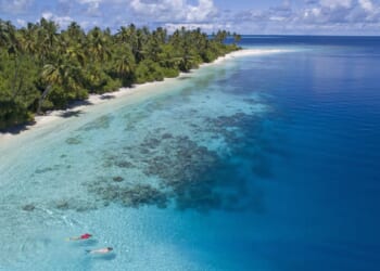 Tourist fighting for life after losing leg in horror bite at popular holiday hotspot