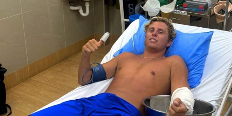 Tourist survives deadly box jellyfish sting - can kill in minutes | World | News