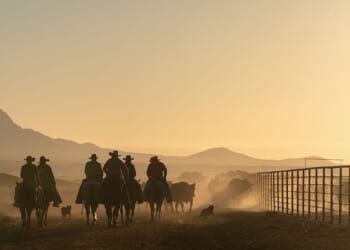 Who’s Taking The Prime Cut Of America’s Beef Prices?