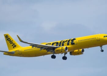 Airline collapses into bankruptcy - Trump considering £400m rescue deal | World | News