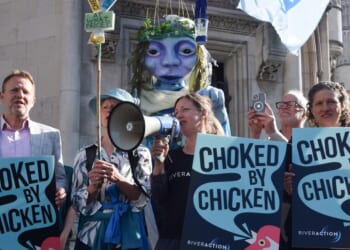 Activists show alternative to populism